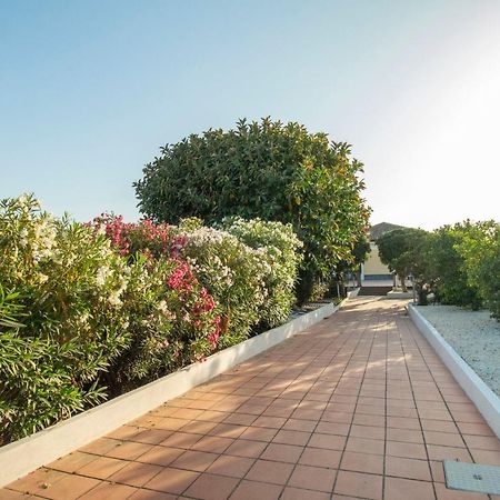 Royal Playa Suite And Apartament -Private Parking- Self Chek Out CTA Eksteriør bilde